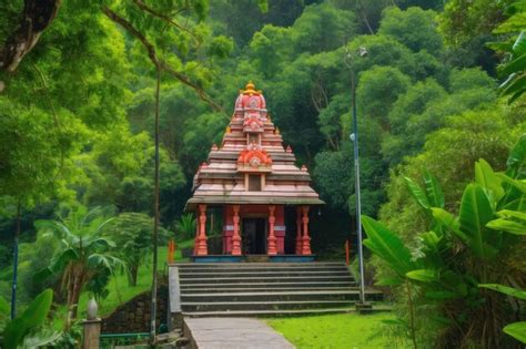 Discover the Vibrant Hindu Temple Communities Near You