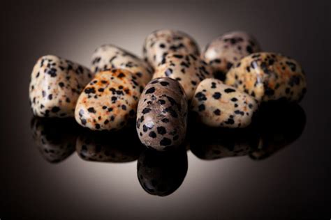 Discovering the Energetic Essence of Dalmatian Jasper