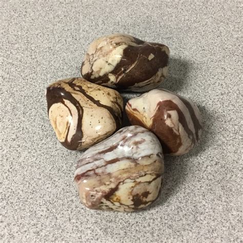 Discovering the Enigmatic Beauty of Brown Zebra Jasper