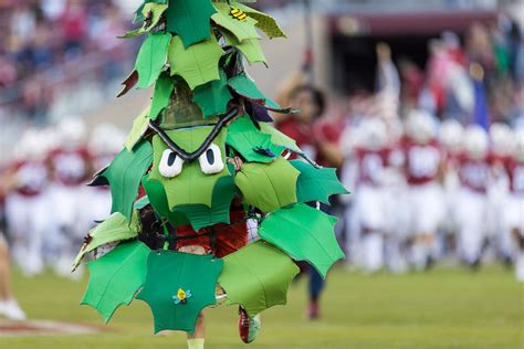 Discovering the True Essence of Mascot Stanford