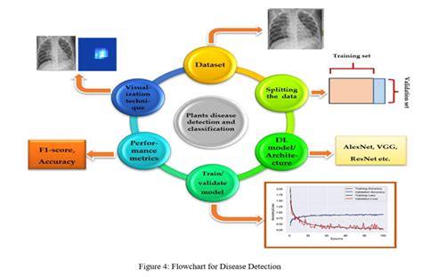 Disease Diagnosis and Prediction: