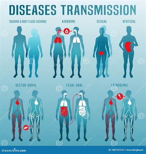 Disease Transmission: