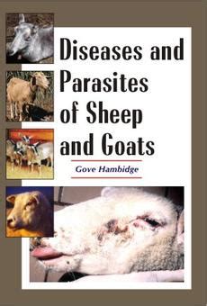 Diseases and Parasites of Sheep and Goats 2nd Edition Reader