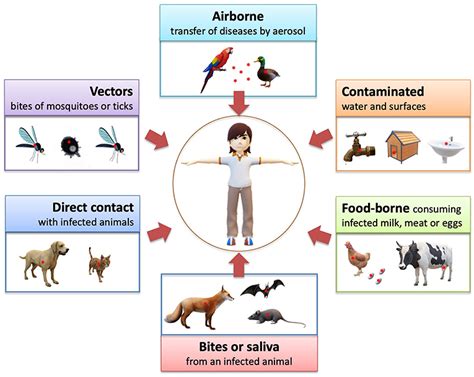 Diseases of Animals Transmissible to Man Kindle Editon