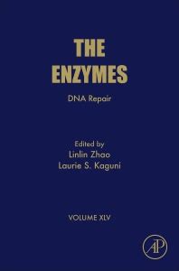 Diseases of DNA Repair 1st Edition Reader