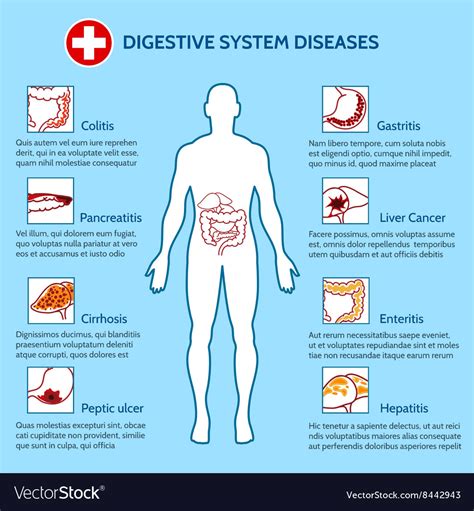 Diseases of Digestive System Causes PDF