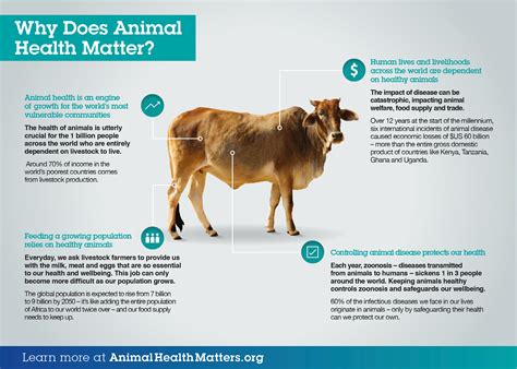 Diseases of Farm Animals Reader