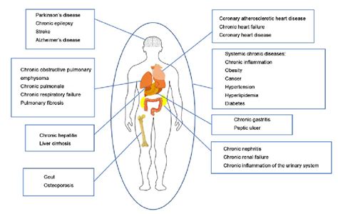 Diseases of the Human Body Reader