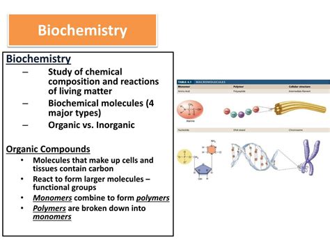 Dissecting the Differences: Ochem vs. Biochem