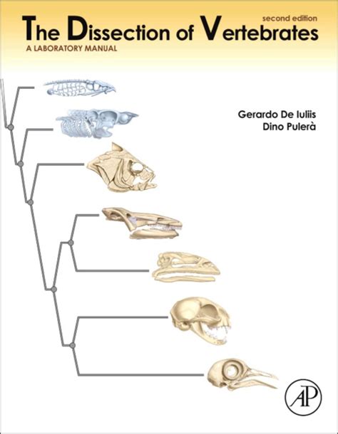 Dissection of Vertebrates 2nd Edition Reader