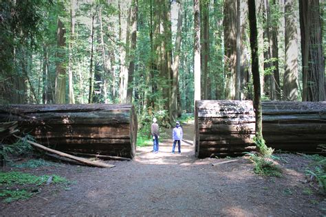 Distance to Humboldt Redwoods State Park: