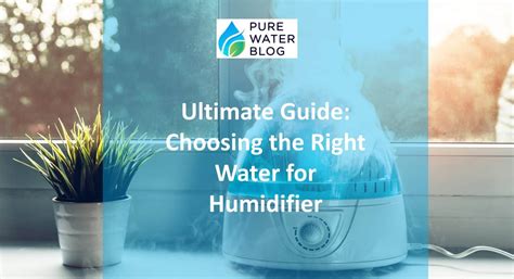 Distilled Water for Humidifier: The Ultimate Guide to Health & Efficiency