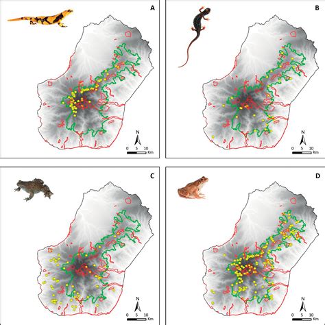 Distribution and Conservation Status