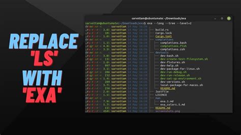 Ditch ls: Unveiling the Power and Beauty of exa exa for Effortless File Listing