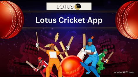 Dive Deep into Cricket with Lotus 247: Your One-Stop Cricket Companion