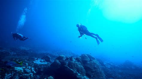 Dive Deep into the Heart of Ocean Science and Business