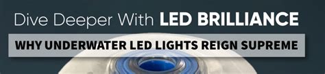 Dive into Brilliance: 35 Essential Submersible LED Lights for Aquascapes & Beyond