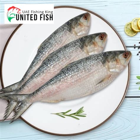 Dive into Deliciousness: Get Hilsa Fish Online Delivered Fresh to Your Doorstep