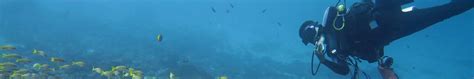 Dive into a World of Water Fun