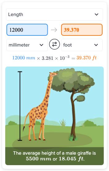 Dive into the Conversion: 12000mm to ft