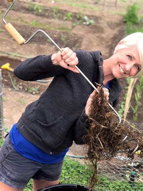 Dive into the Heart of Compost Terner