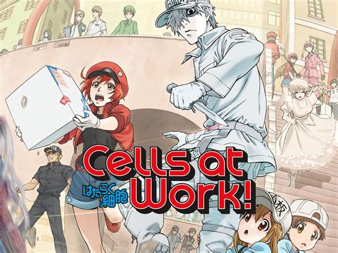 Dive into the Microscopic World of Cells at Work! Season 2 Brings Exciting Advancements