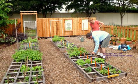 Dive into the Organic World of Lawn Care