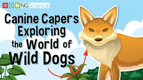 Dive into the World of Canine Costume Capers