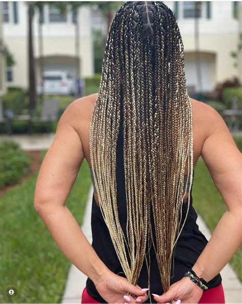 Dive into the World of Hair Color Braids