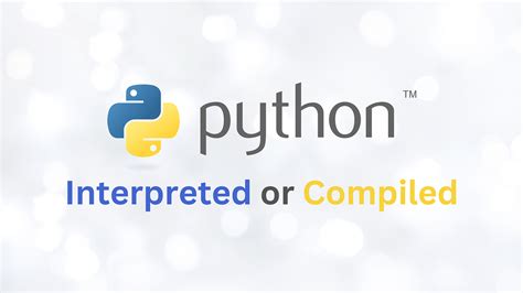 Dive into the World of Python