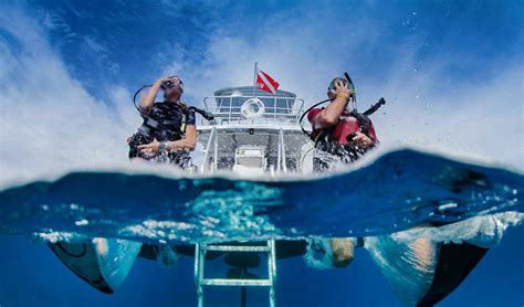 Divers Alert Network Insurance: Your Ultimate Guide to the Best Coverage for Scuba Divers