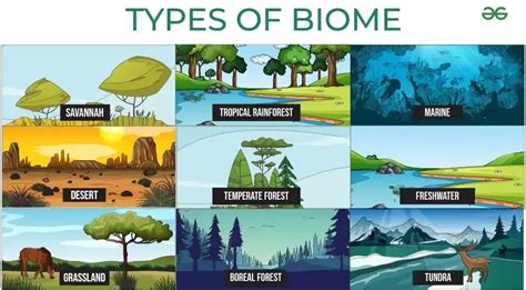 Diverse Biomes and Creatures