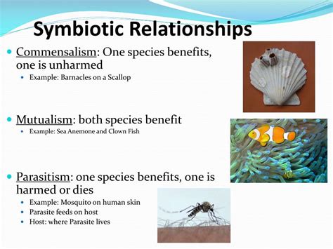 Diversity of Symbiotic Interactions: