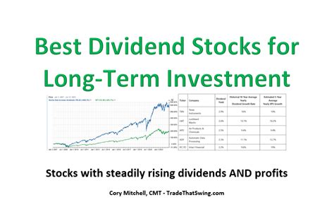 Dividend Stocks: Sustainable Investing for Long-Term Wealth