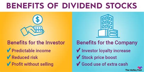 Dividend Stocks: The Bedrock of Sustainable Investing