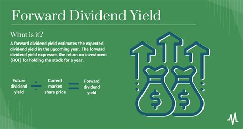 Dividend Yield Concentration: