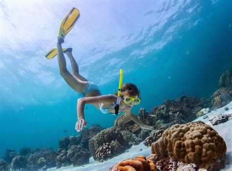 Diving and Snorkeling: