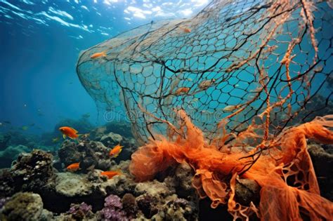 Diving into the Labyrinth of Nets: Unveiling the Tangled Web that Connects Our World