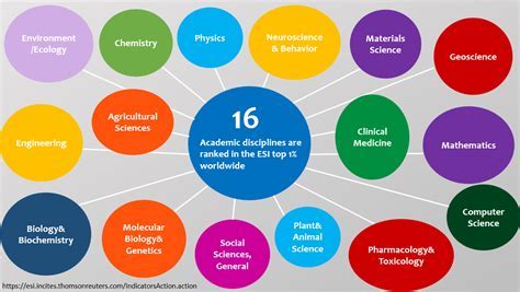 Division of General Studies: A Comprehensive Guide to Academic Fields