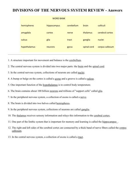 Divisions Of The Nervous System Review Answers PDF