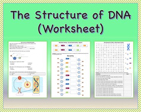 Dna Activity Answer Sheet Doc