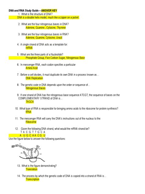 Dna And Genes Continued Answer Key Kindle Editon