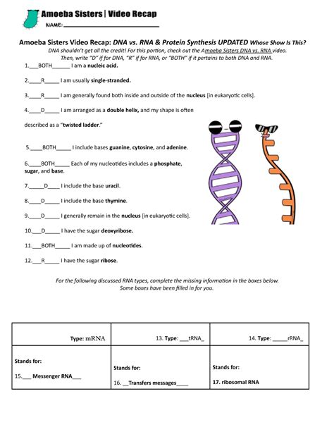 Dna And Rna Answer Key PDF