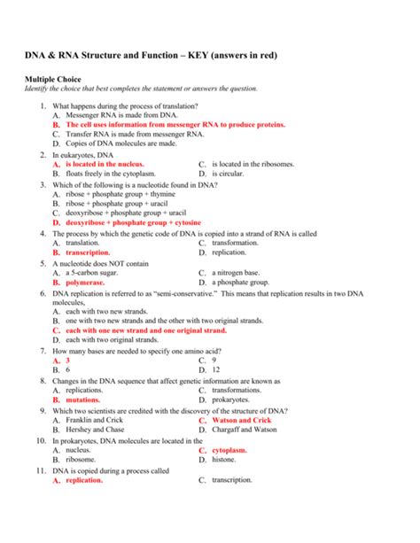 Dna And Rna Answers Reader