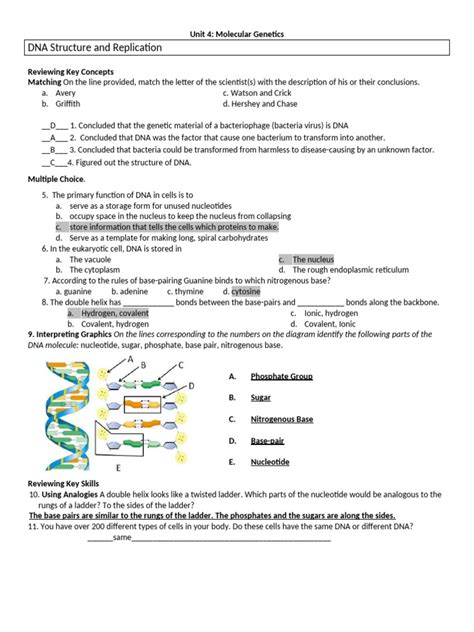 Dna And Rna Bio Packet Answer Key PDF