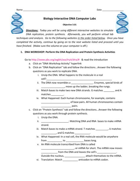 Dna And Rna Virtual Lab Answer Key Reader