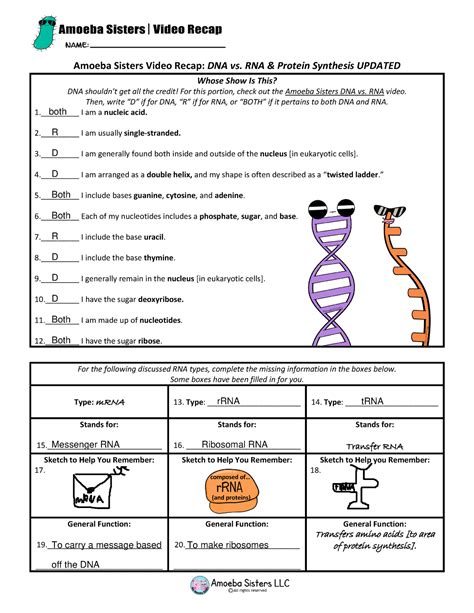 Dna And Rna Workbook Answer Key Doc