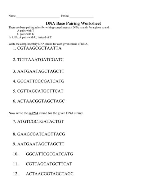 Dna Base Pairing Worksheet Answers Doc