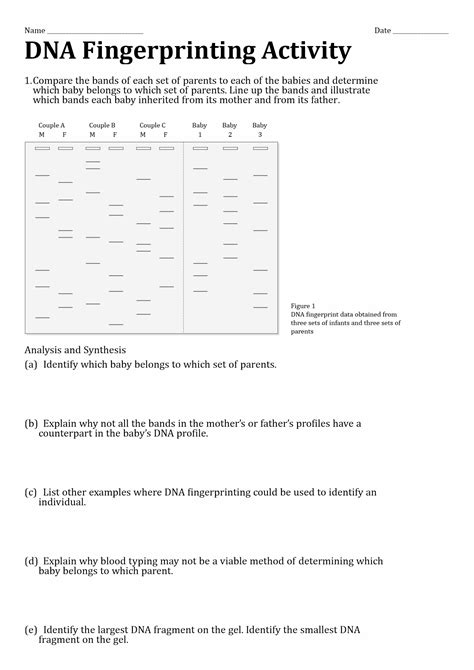 Dna Fingerprinting Answer Key Reader