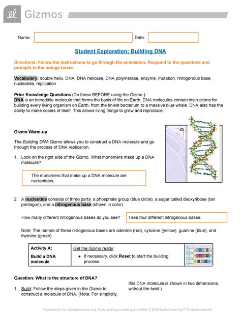 Dna Replication Gizmo Answers Epub